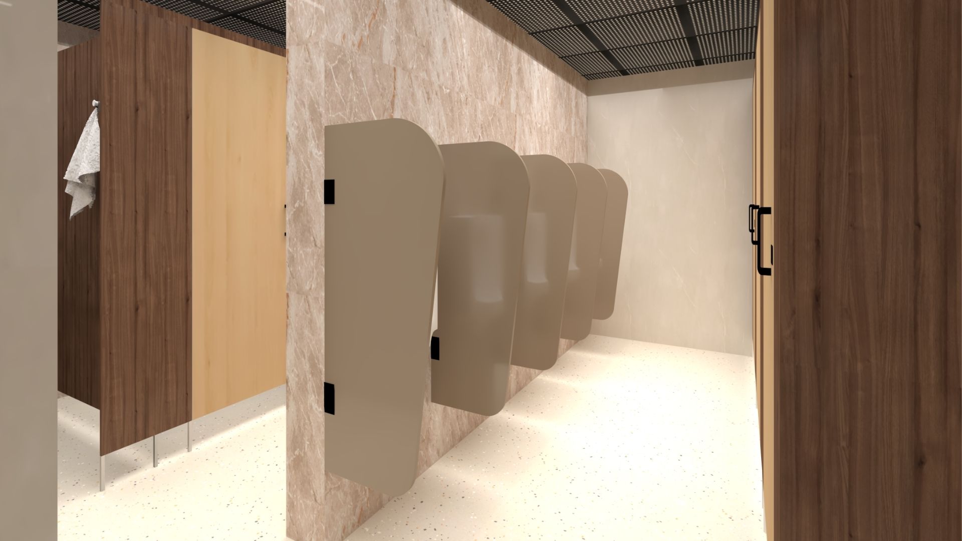 Project AAM India (4)