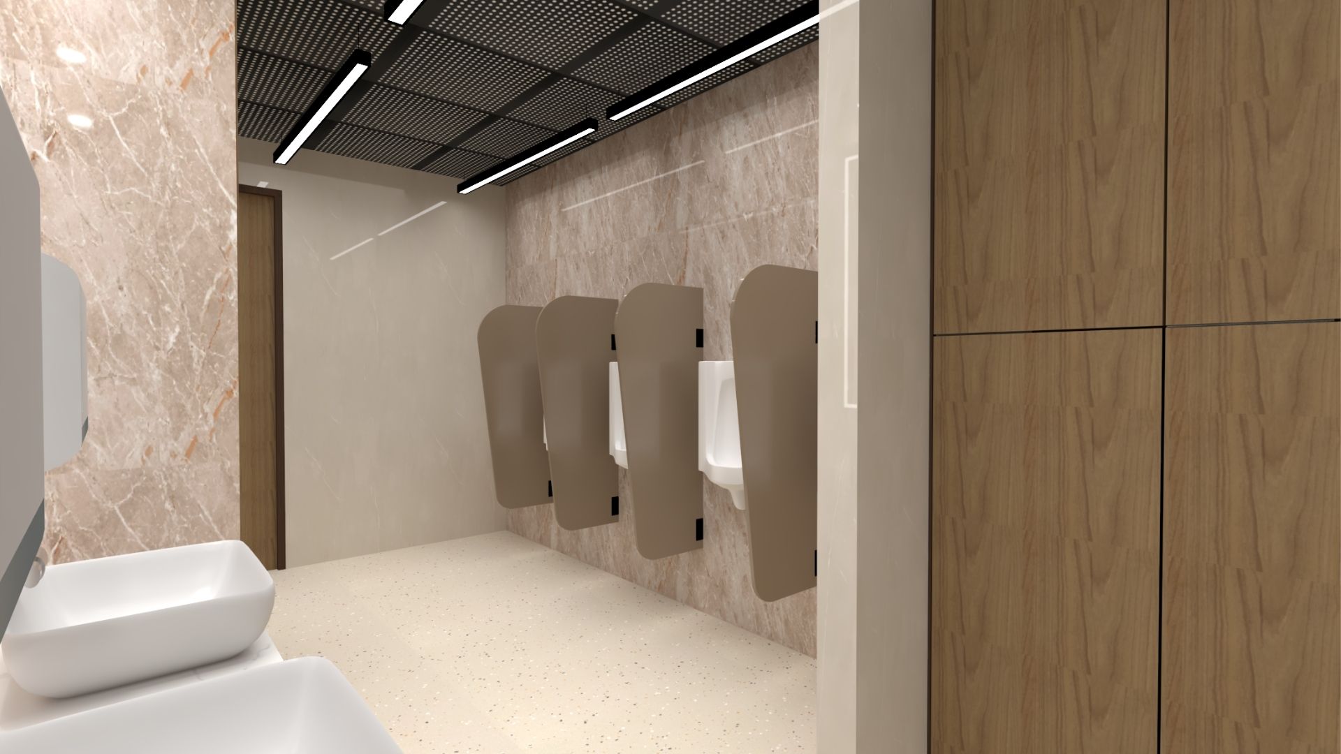 Project AAM India (6)